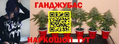 скорость Моздок