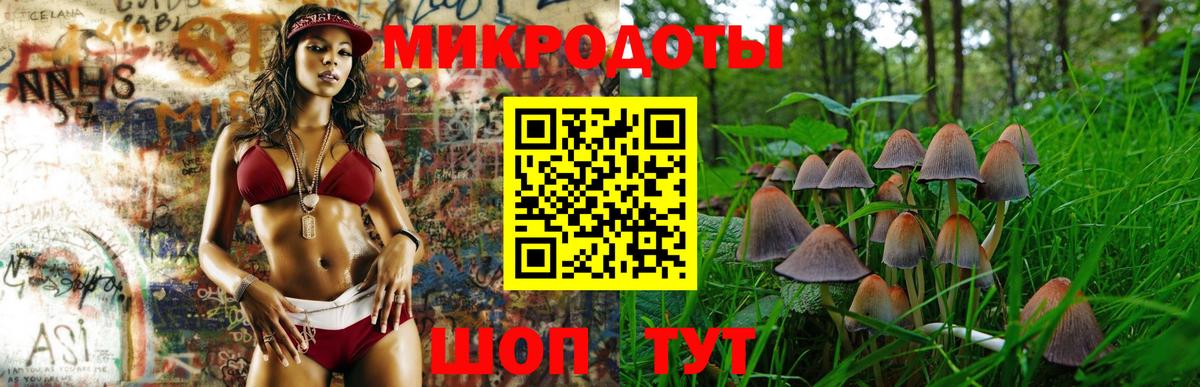 Гай  Галлюциногенные грибы мухоморы  Галлюциногенные грибы Magic Shrooms  Вход с VPN 